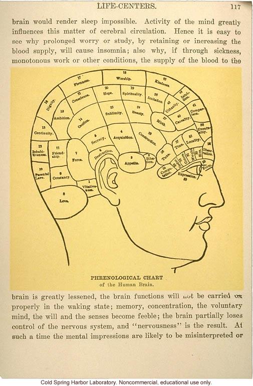 human skull with markings and labels indicating feelings and mental traits. Caption reads "Phrenological chart of the human brain."